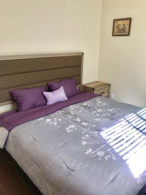 לוס אנג'לס Private Modern Guesthouse With Backyard מראה חיצוני תמונה